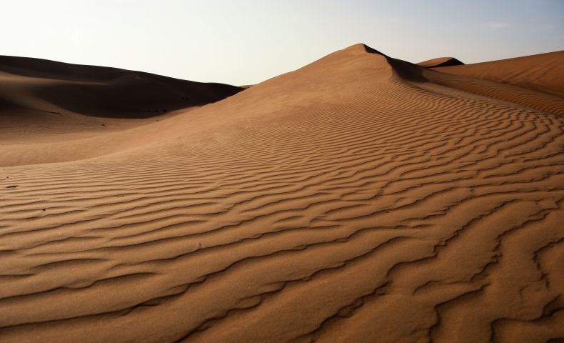 Wahiba Sands 1