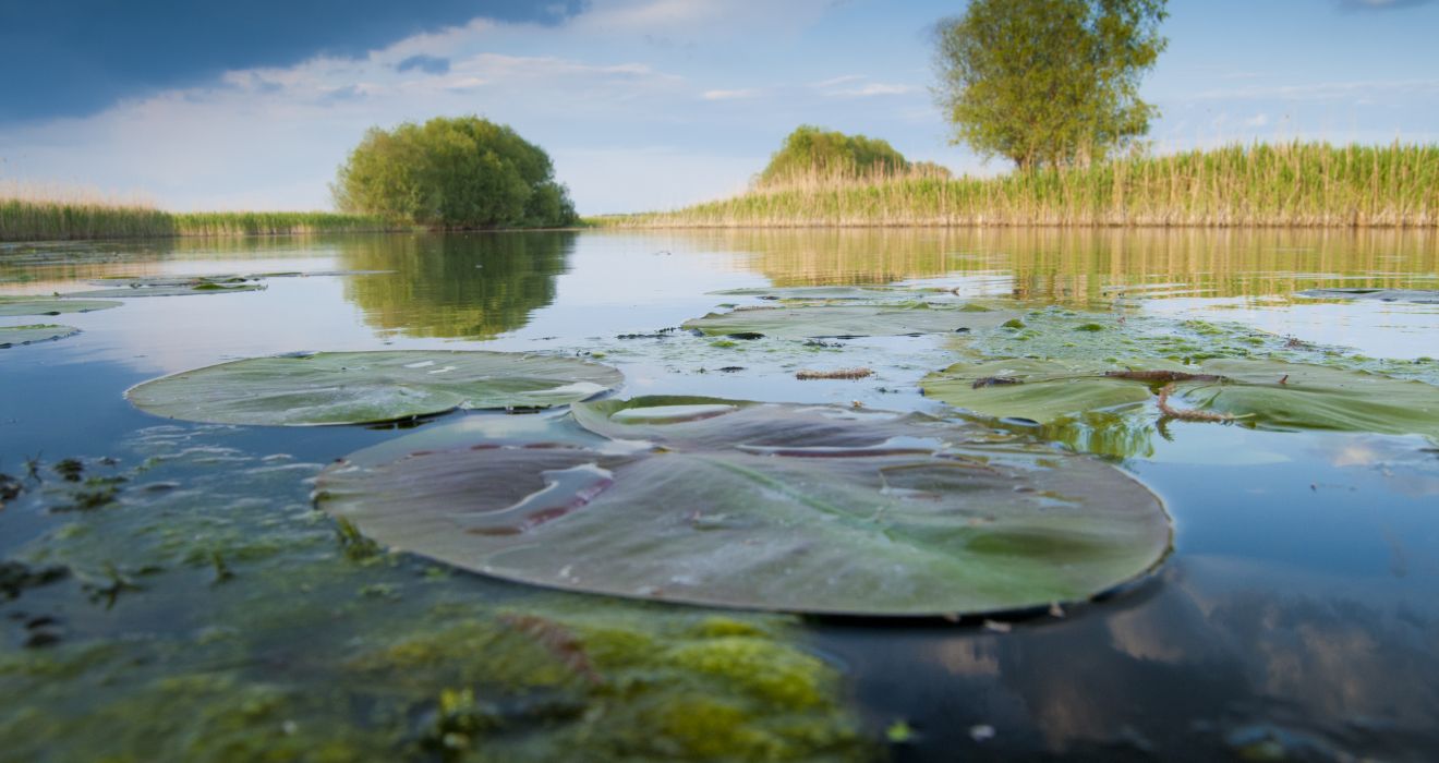 Donaudelta Impressionen