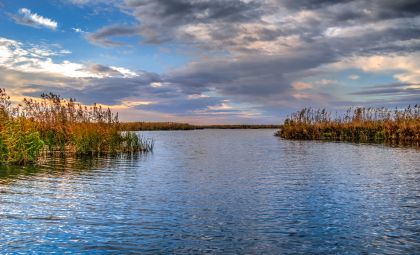 Donaudelta