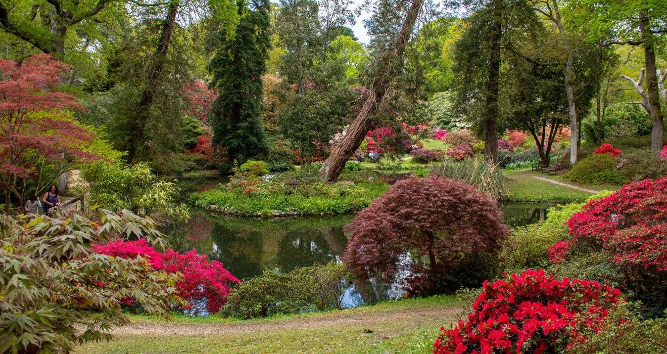 Exbury Garden
